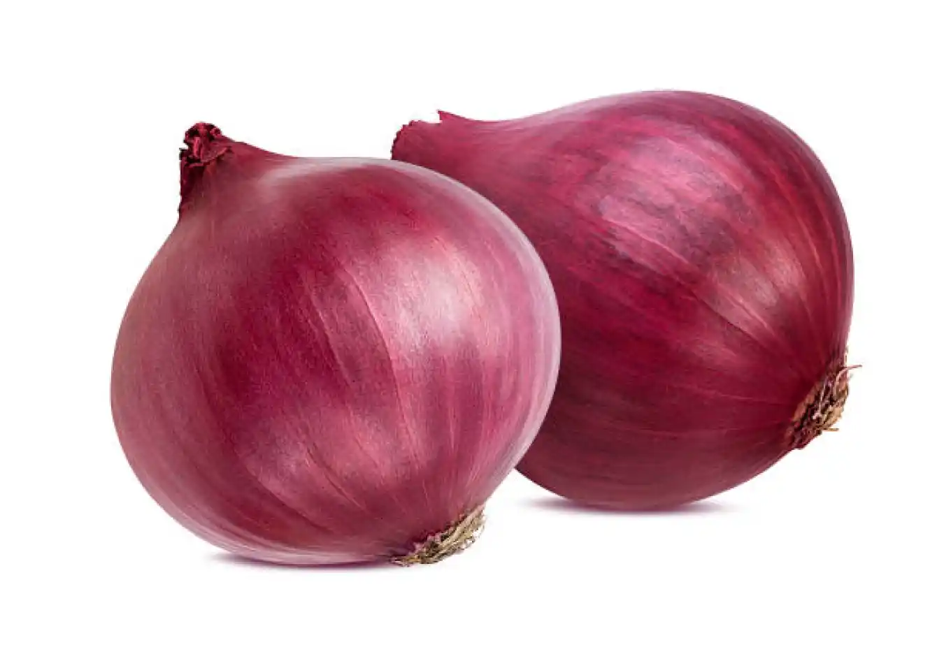 Fresh onion