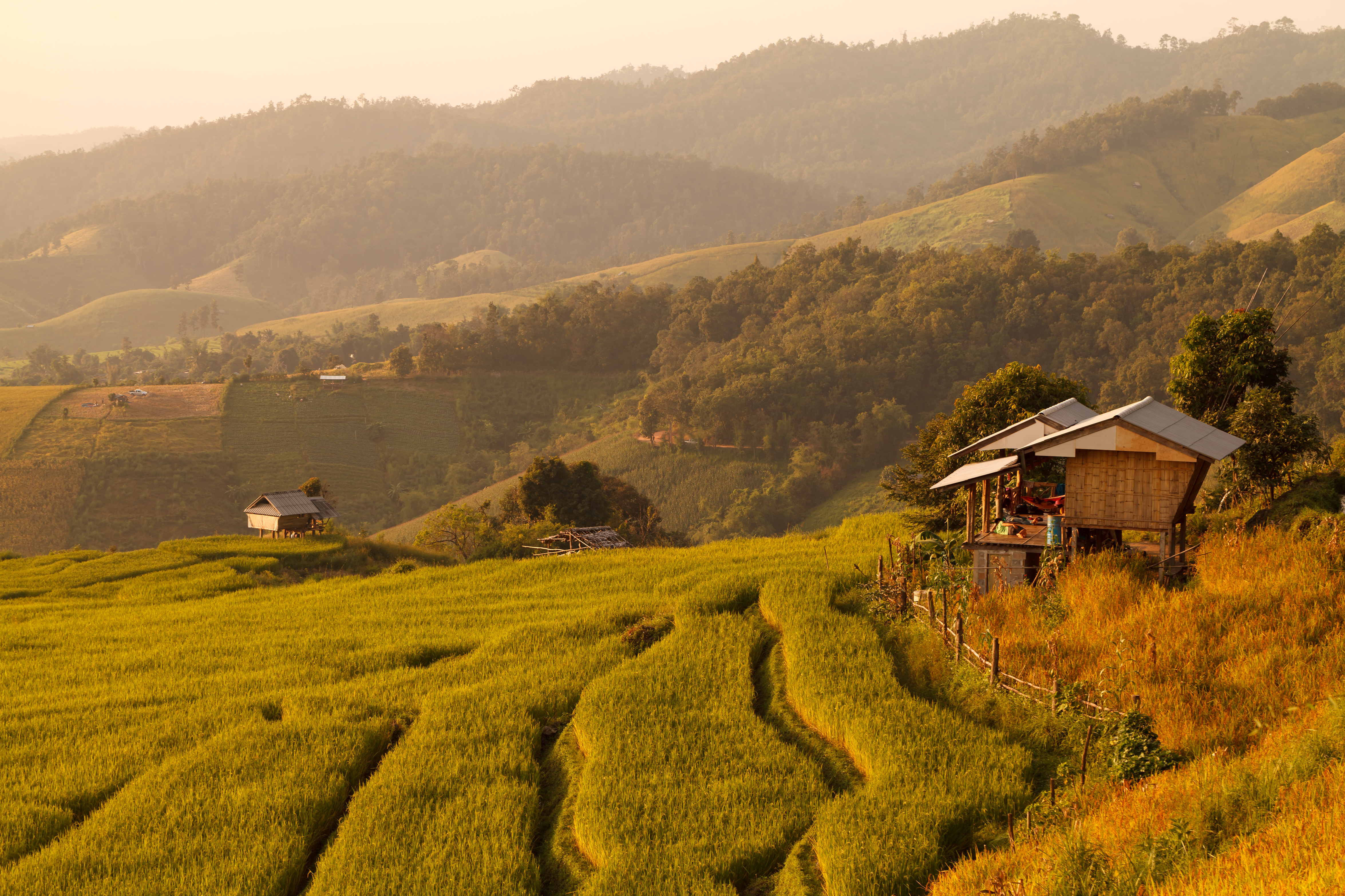 Agriculture export mission